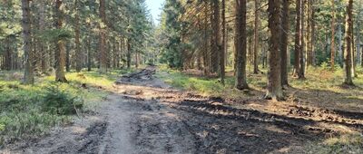 Pod Jelenią Kopą, Rezerwat Nowa Morawa ↔ Przełęcz Płoszczyna