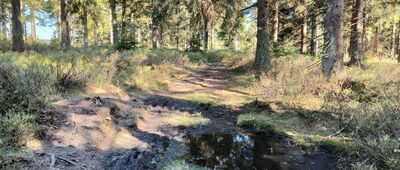 Rude Krzyże ↔ Pod Jelenią Kopą