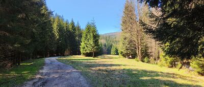 Bielawka ↔ Czarny Potok