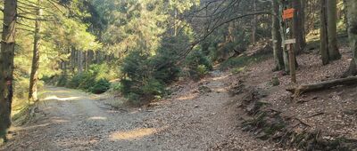 Rezerwat Puszcza Śnieżnej Białki