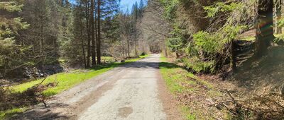 Bielawka ↔ Bielice, leśniczówka