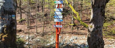 Bielice, leśniczówka