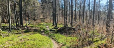 Rozejście szlaków czerwony / zielony