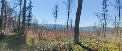 Rozejście szlaków czerwony / zielony