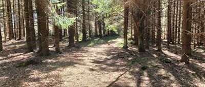 Špičák, rozc. ↔ Rozejście szlaków