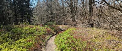 Rozejście szlaków ↔ Sedlo Peklo