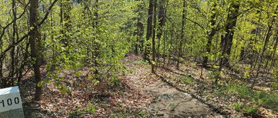 Rozdroże Zamkowe ↔ Ruiny zamku Karpień, skrzyżowanie