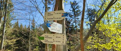 Ruiny zamku Karpień, skrzyżowanie