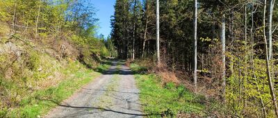 Ruiny zamku Karpień, skrzyżowanie