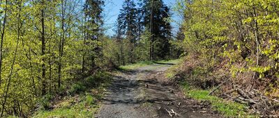 Ruiny zamku Karpień, skrzyżowanie