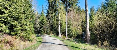 Ruiny zamku Karpień, skrzyżowanie ↔ Przełęcz Karpowska