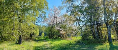Szwedzkie Szańce ↔ Kościół pw. Matki Bożej od Zagubionych