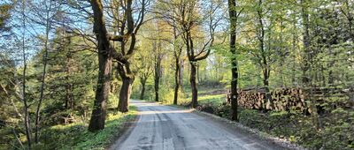 Przełęcz Lądecka ↔ Szwedzkie Szańce