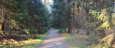 Młyńska ↔ Przełęcz Lądecka