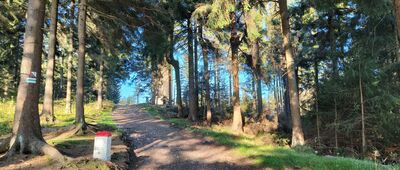 Borówkowa ↔ Pod Borówkową