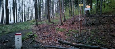 Przełęcz Jawornicka