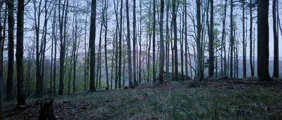 Przełęcz Jawornicka