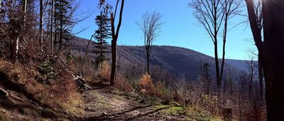 Jezioro w dolinie Wapienicy ↔ Pod Szyndzielnią