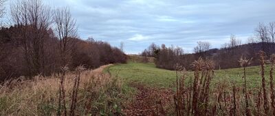 Pod Malým Ostrým, hřeben