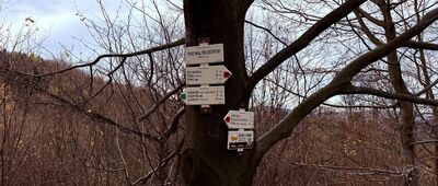 Pod Malým Ostrým, hřeben