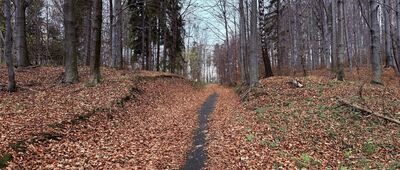 Leszna Górna - Nydek (CZ) ↔ Przejście graniczne Gora