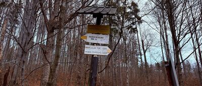 Leszna Górna - Nydek (CZ)