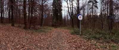 Leszna Górna - Nydek (CZ)