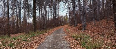 Leszna Górna - Nydek (CZ)