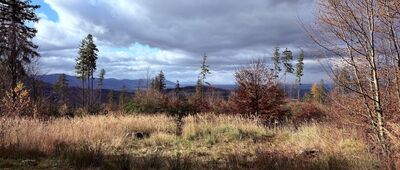 Podlesie, Widokowa ↔ Leszna Górna - Nydek (CZ)