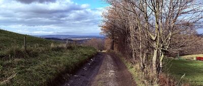 Rozejście szlaków ↔ Podlesie