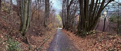 Leszna Górna ↔ Pod Vružnou