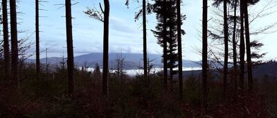 Przełęcz Glinne ↔ Beskid Korbielowski