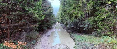 Beskid Korbielowski ↔ Przełęcz pod Beskidem Krzyżowskim