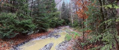 Przełęcz pod Beskidem Krzyżowskim