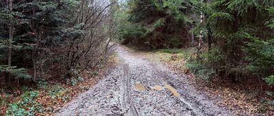 Przełęcz pod Beskidem Krzyżowskim