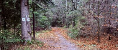 Przełęcz pod Beskidem Krzyżowskim