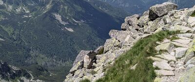 Świnicka Przełęcz ↔ Pod Świnicą