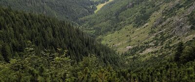 Przełęcz między Kopami (Karczmisko)