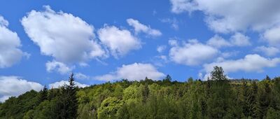 Jaskinia Niedźwiedzia ↔ Gęsia Gardziel