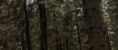 Jeřáb ↔ Pod Jeřábem