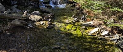 Sowia Dolina ↔ Sowia Dolina, granica parku narodowego