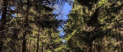 Pod Rogiem ↔ Strażnicze Naroże