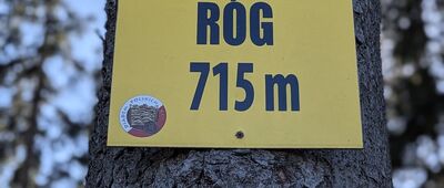 Róg, stanowisko paralotniowe ↔ Pod Drogoszem