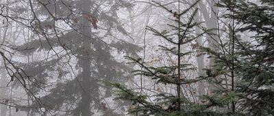 Początek ścieżki przyrodniczej W przełomie Jasiołki ↔ Czerwony Horb