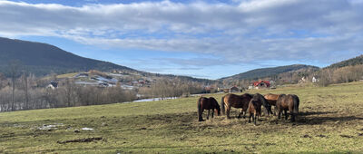 Jeżowa Woda ↔ Młyńczyska