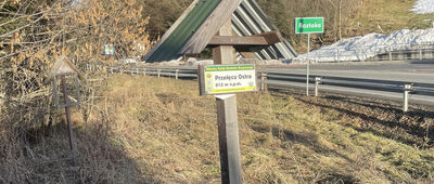 Przełęcz pod Ostrą