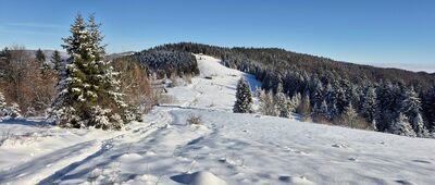 Polana Podskały ↔ Gorc Troszacki [Polana Podskały]