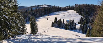 Przełęcz Borek ↔ Pustak [Polana Przysłopek]