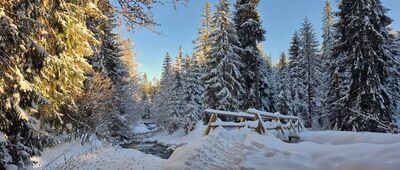 Przełęcz Borek ↔ Skrzyżowanie pod Stawieńcem [Mostek nad Kamienicą]