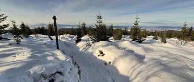 Rozdziele ↔ Turbacz [Podejście na Turbacz]